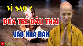 Nghiệp Quả Giữa Cha Mẹ Và Con Cái  Vì Sao Đứa Trẻ Lại Chọn Bạn ( Nhân Quả Hay ) | HT Thích Giác Hạnh