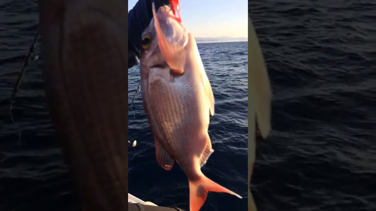 Ocean slider jig Clearance