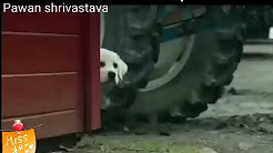Meri zindagi sawari by animal