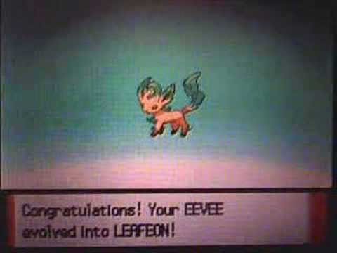 How to get eevee in diamond How to get eevee in diamond
