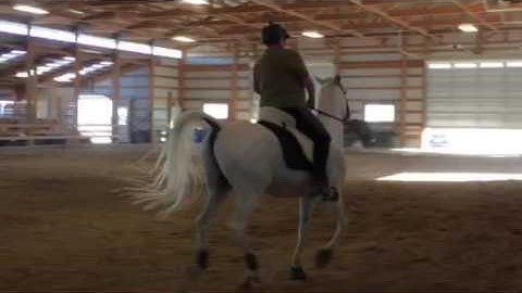 Cantering Leg yields
