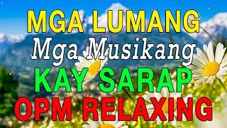 2 HOUR LUMANG TUGTUGIN💕OPM LUMANG TUGTUGIN NA MASARAP BALIKAN 💕 Pure Tagalog Pinoy Old Love Songs,