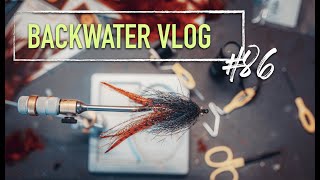 MFC Barred Hackle Feathers MATERIAL SPOTLIGHT: BACKWATER VLOG #86 screenshot 2