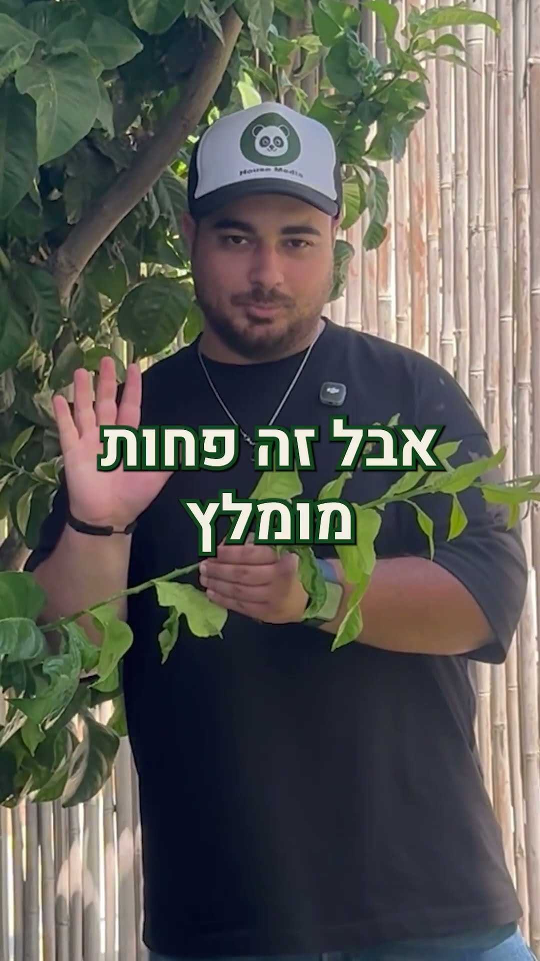 עבודת וידאו מתיק העבודות של האוס מדיה