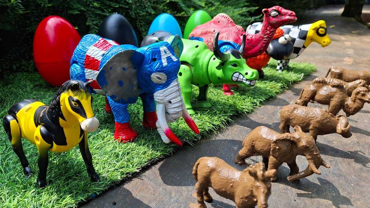 Sapi, Gajah, Kerbau, Domba, Kuda, Unta Melahirkan |  Sapi Mandi Lumpur