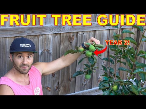 Vídeo: Zone 5 Fruit Trees - Guia para o cultivo de árvores frutíferas nos jardins da Zona 5