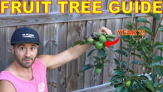 A Complete Guide To GROWING FRUIT TREES From Transplant To Maturity