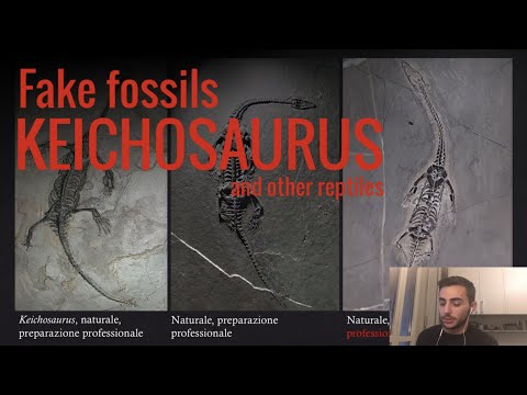 Video: Strani Fossili Nel Distretto Di Kotovsky. Uova Di Dinosauro O No? - Indagine. - Visualizzazione Alternativa