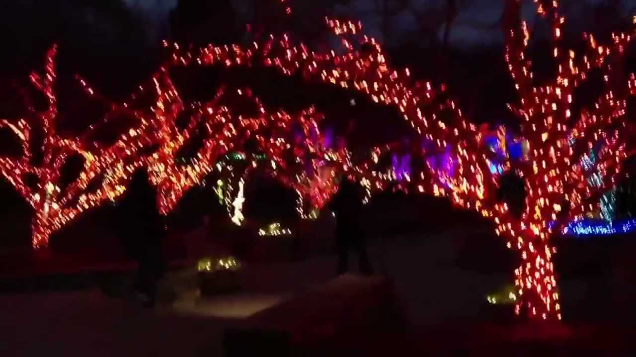 Brookside garden of lights 2013 YouTube