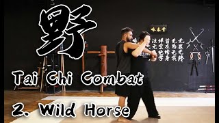 Tai Chi Combat Application - 2. Wild Horse Parts Mane screenshot 5