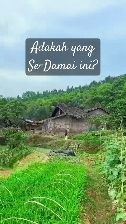 Kedamaian kampung #perdamaian #instrument #indah