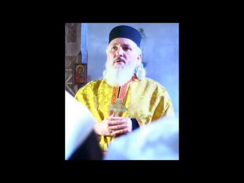 წმ.გაბრიელი: \"უცხოეთიდან თვალ-მარგალიტი ჩამოიტანეთ და არა უზნეობა\"- მამა დავითი (ისაკაძე)