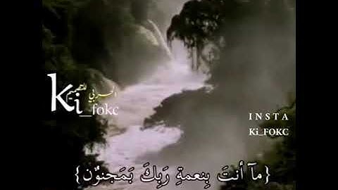 ميثم التمار القرآن الكريم سورة القلم❤❤