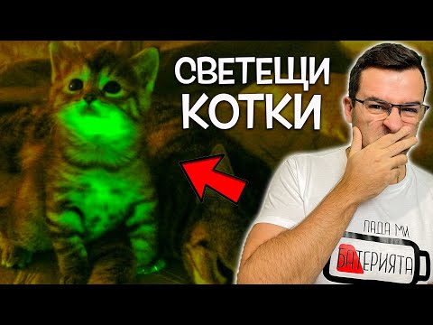 10 от НАЙ-СТРАННИТЕ