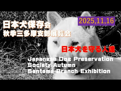 日本犬保存会秋季三多摩支部展覧会（Japanese Dog Preservation