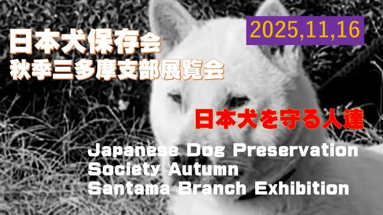 日本犬保存会秋季三多摩支部展覧会（Japanese Dog Preservation