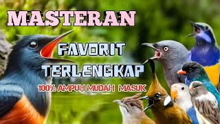 Masteran favorit lengkap Murai batu‼️materi mewah full tembakan kasar pedas BERJEDA