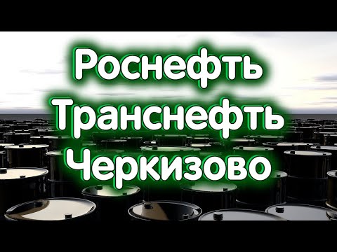 Роснефть- Транснефть- Черкизово- Индекс МосБиржи- Обзор 11-03-2024