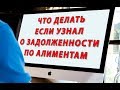 Что делать если узнал о задолженности по алиментам и Как ее погасить правильно