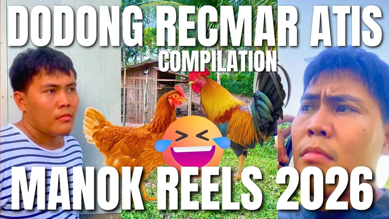 RECMAR KAWAT MANOK SERIES | BEST OF DONG RECMAR 2026 FULL VIDEOS