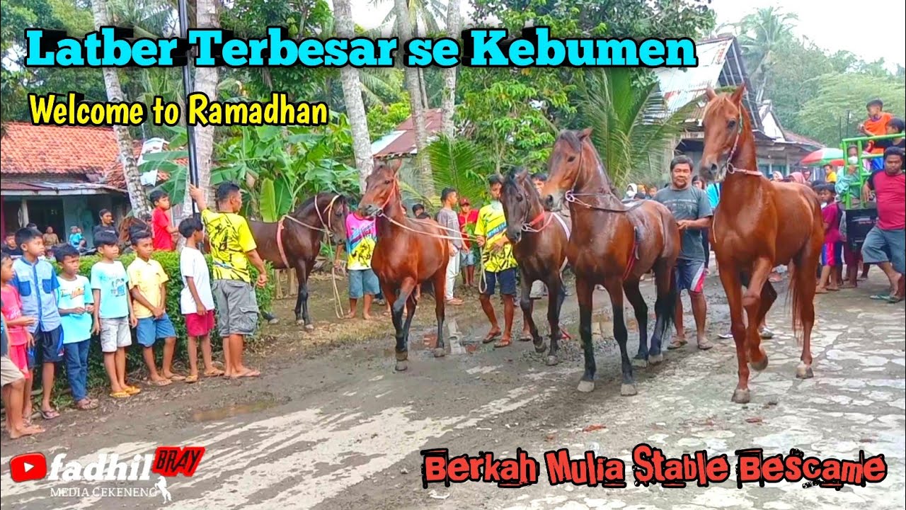 Latber kuda joged Terbesar se kebumen di bescame Berkah mulia stable menyambut bulan ramadhan