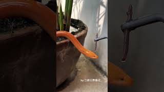 Fish friendship for life
Fish friendship for life Fish friendship for life