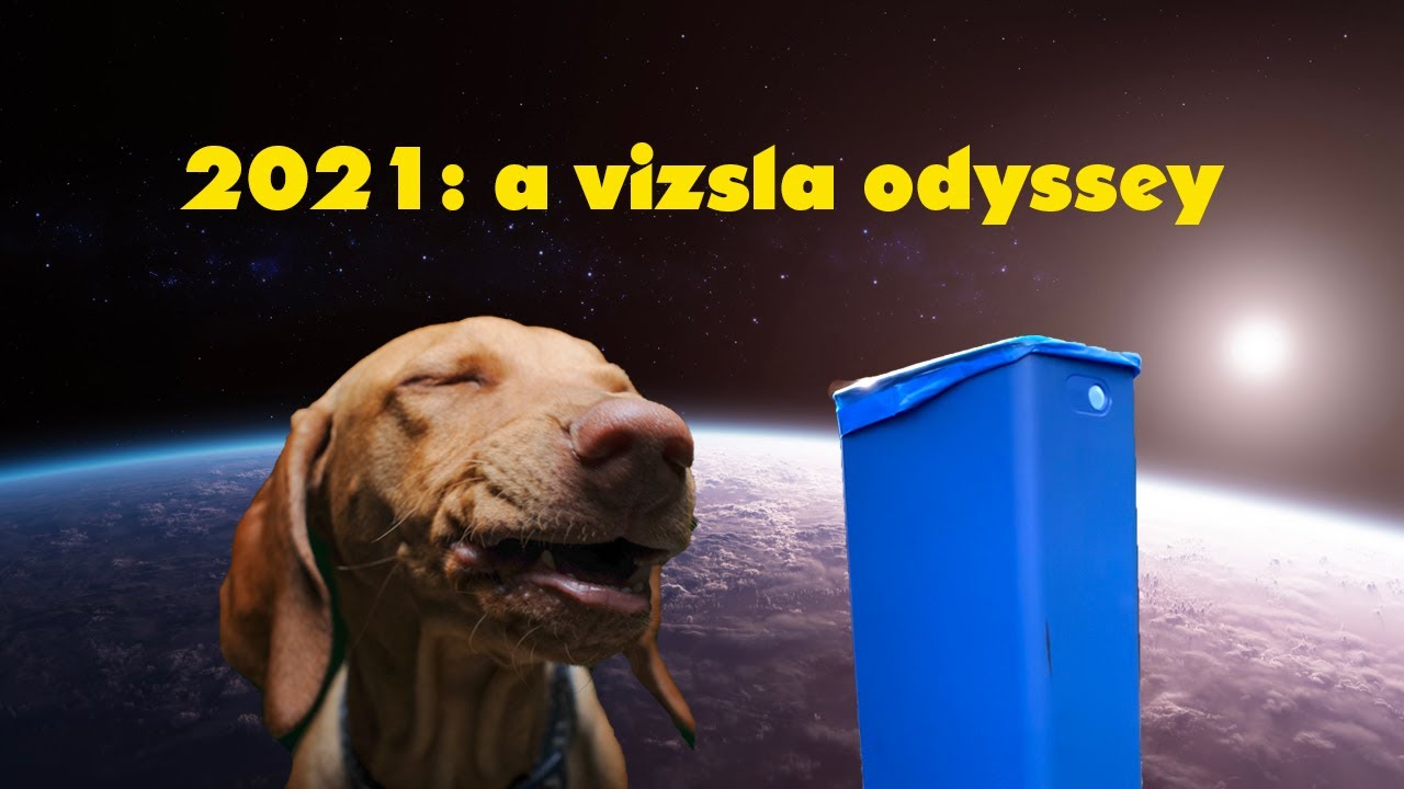 Vizsla and the monolith, Kubrick fans will get it