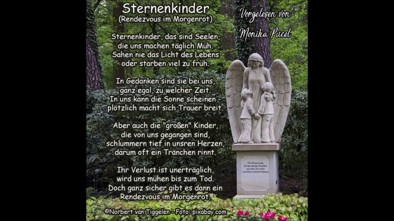 Sternenkinder Sternenkinder