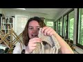 Beginning of video