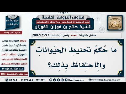 [2597 -2802] حكم تحنيط الحيوانات والاحتفاظ به؟