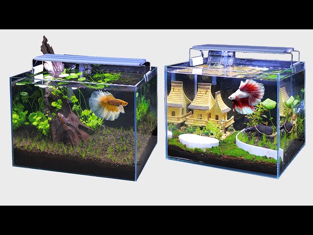 Top 2 DIY Planted Aquarium Decoration Ideas For Betta Fish DIY