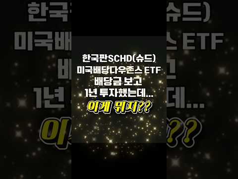 미국배당다우존스 1년 수익율 대박