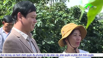 Đẩy mạnh liên kết sản xuất cà phê hữu cơ |  Lâm Đồng TV