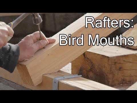 Video: Kako rezati Birdsmouth na gredi?
