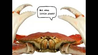 Gil the crab with Honda Element.