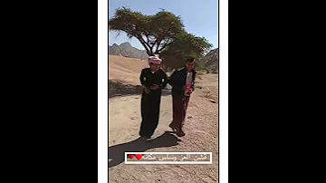 برعه شباب المهرة 