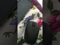 Como manusear o celular com Display quebrado, trincado, Touch não funcionando.