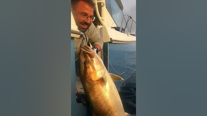 Landing a beautiful Amberjack in Mallorca