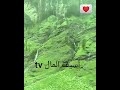 محمد أوت حناوت من أسيف المال محمد أوت حناوت من أسيف المال