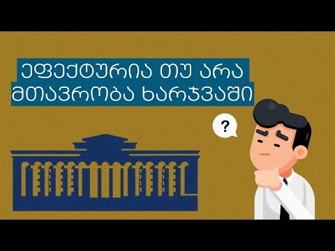 ეფექტურია თუ არა მთავრობა ხარჯვაში