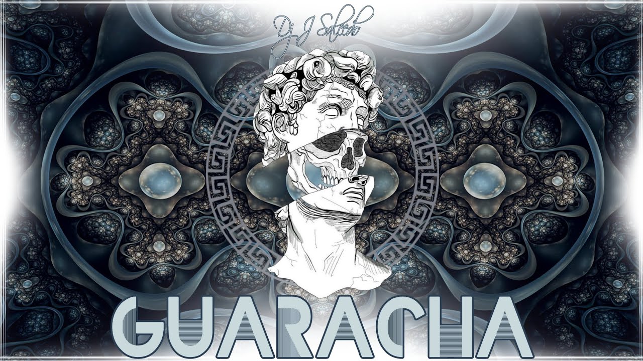 BUEN VIAJE 💫 GUARACHA 2023 ✘ Dj J Salcedo "Freseo, Navegue, Tribal House"