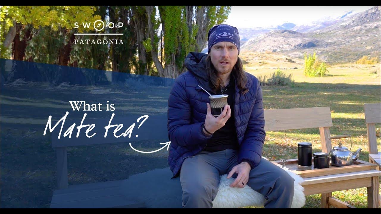 What is mate tea? YouTube