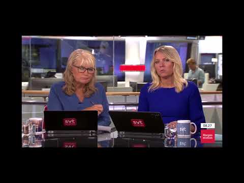 Pappa Intervjuas I Svt Morgonstudion 2018-08-01