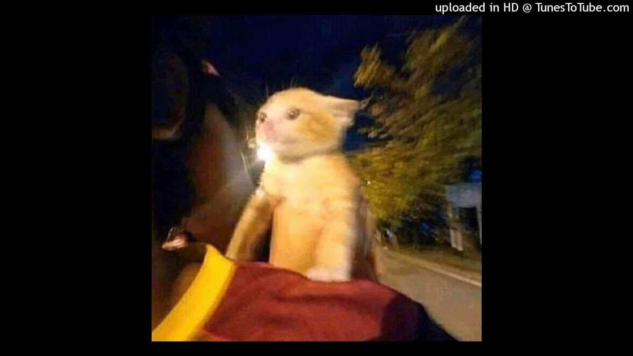 [free] simple koi x hella sketchy type beat "title" (prod. hellamase x warheart)