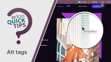 Odoo Quick Tips -  Descriptions and Alt tags on images [Website]