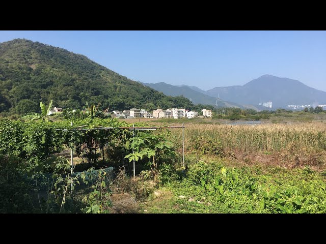 Hong Kong WALKS // Hakka Chinese village | Luk Keng 鹿頸 客家人 PART 1 class=