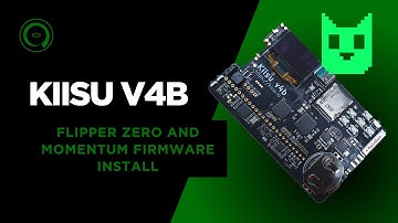 Kiisu v4b: Flipper Zero and Momentum Firmware Installation Guide
