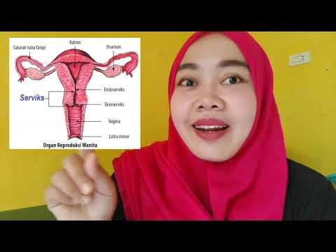 Video: Orgasme Ke Aroma Ganjil: 10 Cara Pelik Kehamilan Mengubah Faraj