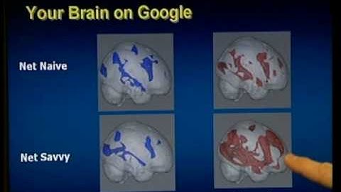 Your Brain on Google