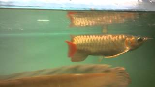 WP 20150715 002